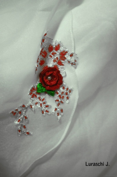 Fleur sur robe..jpg